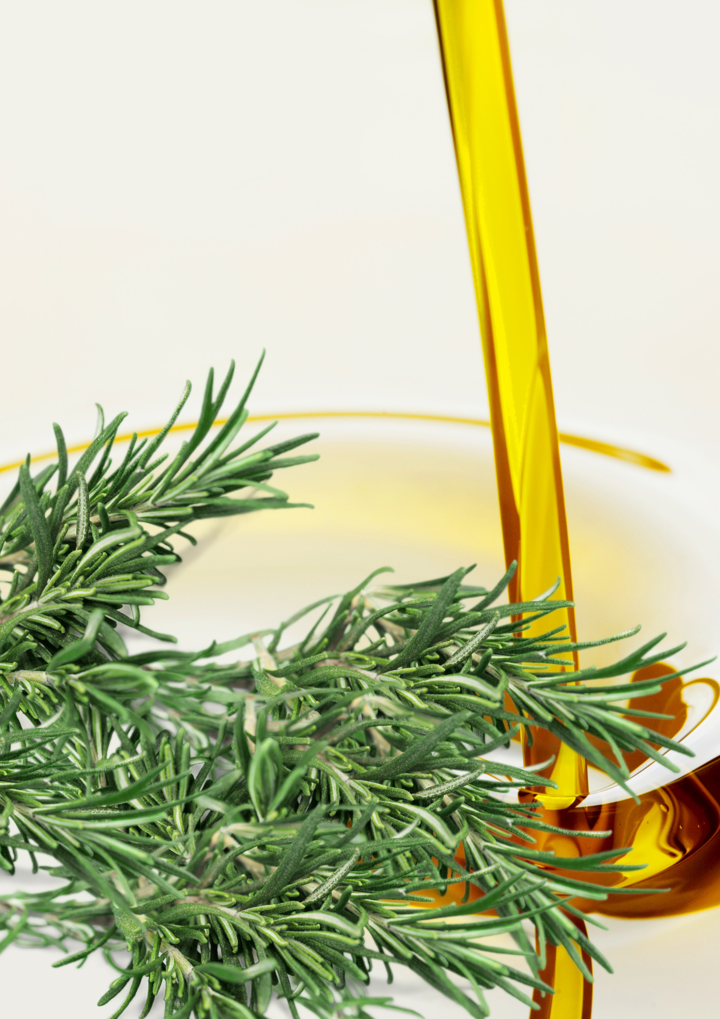 Nourish rosemary hair oil